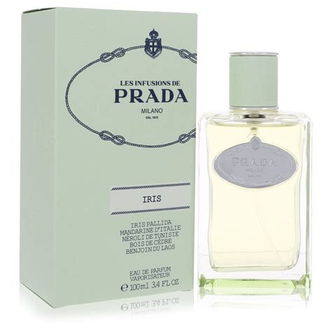 basenotes prada infusion d iris|iris prada perfume 2007.